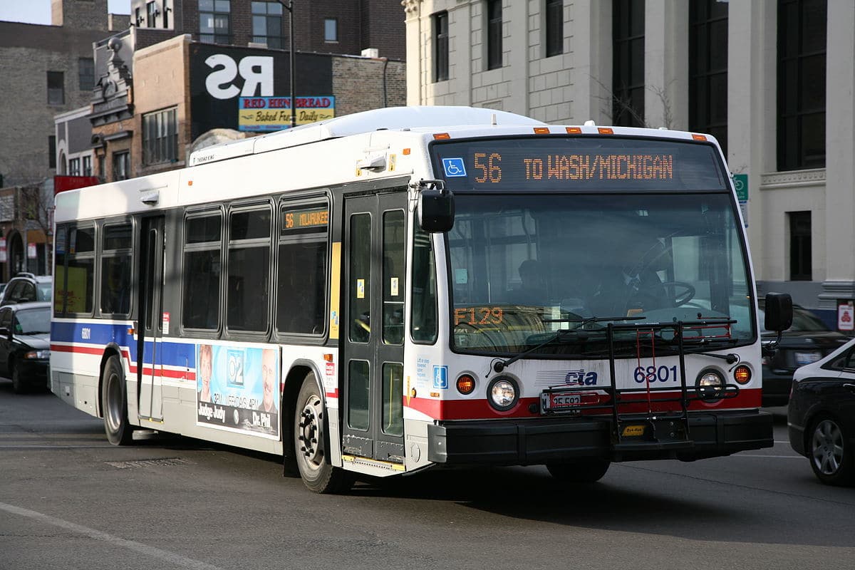 bus bus